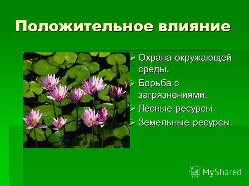 Положительное влияние человека на природу реферат 1959