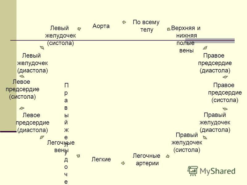 Где взять лезвие для вен