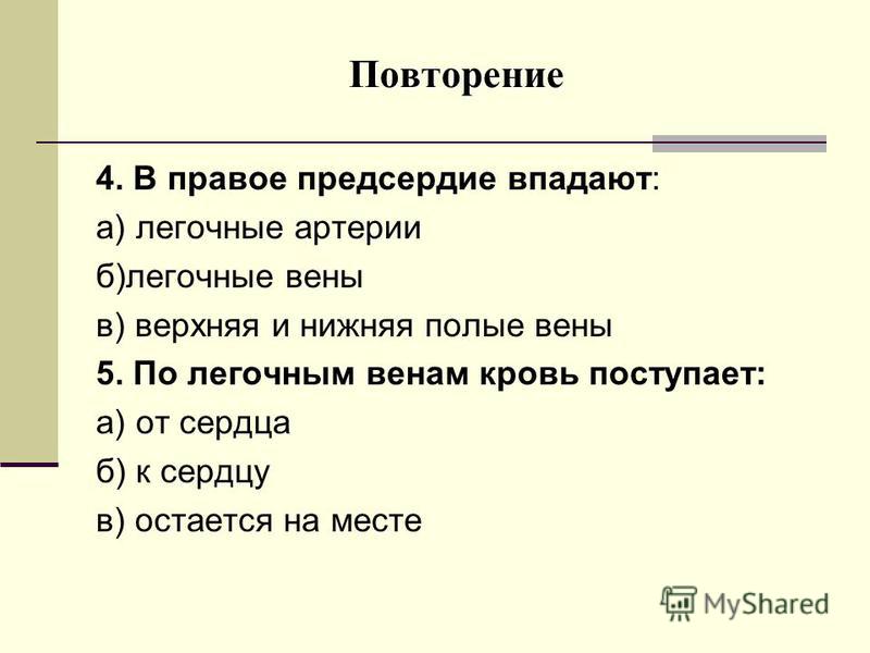 Признаки заболевания вен на ногах