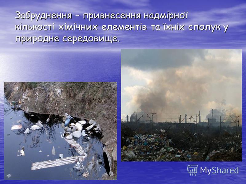 Реферат: Визначення основних видів забруднення навколишнього середовища