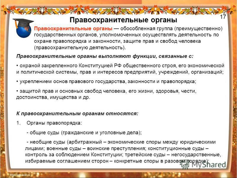 Курсовая работа по теме Государственные и негосударственные органы, занимающиеся правоохранительной деятельностью