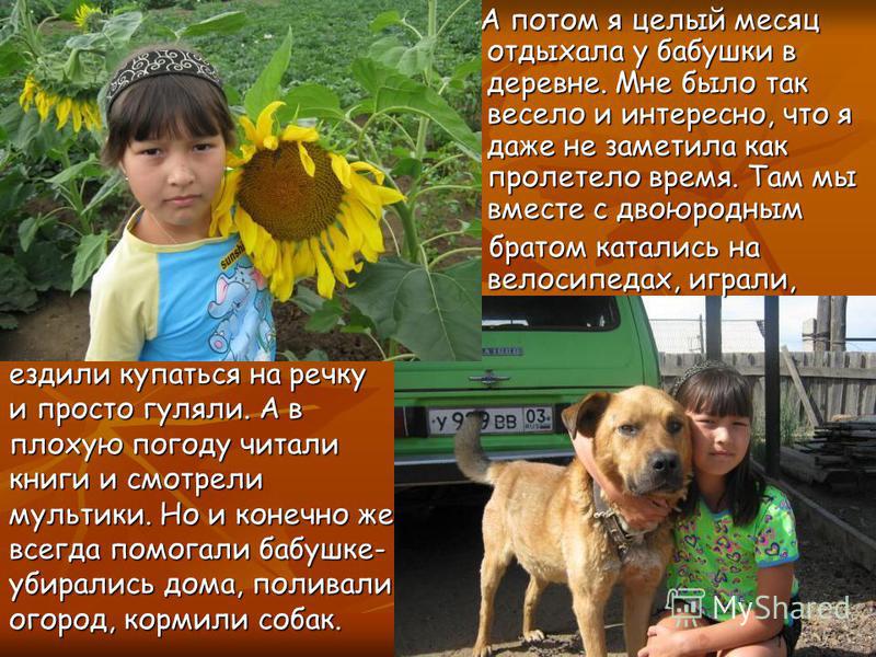 Каллы в горшках - уход в домашних условиях: виды и особенности Каллы: выращивание в горшке