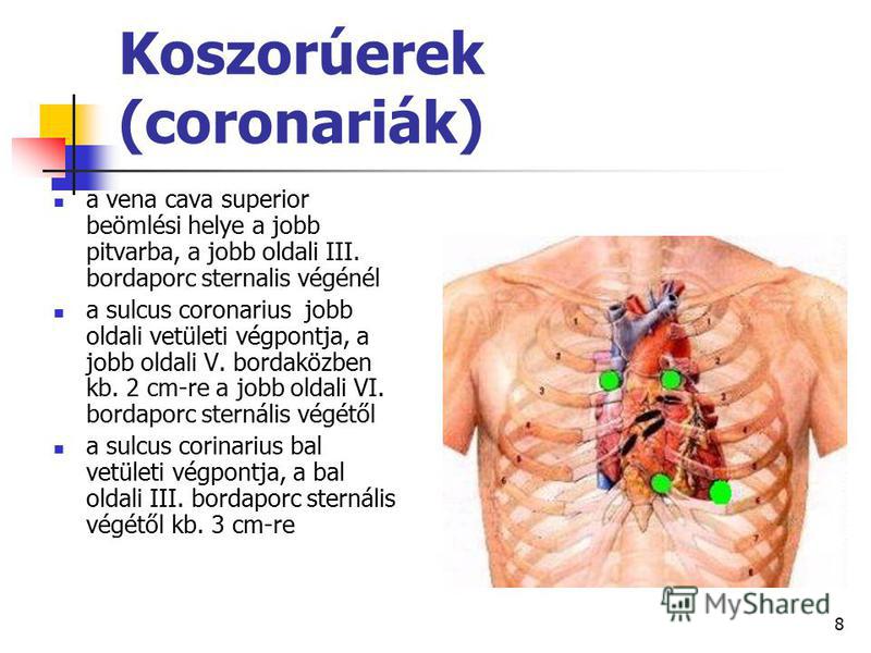 erős ízületi gyógyszer
