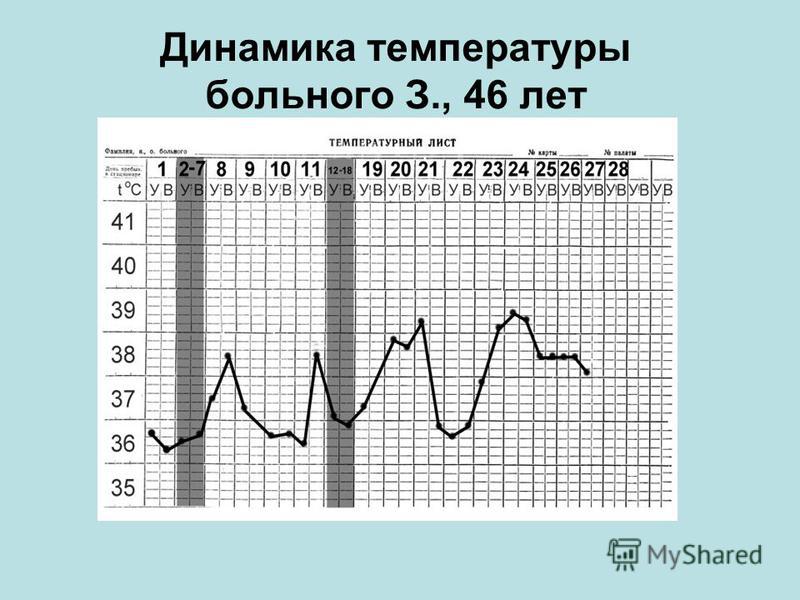 Динамика температуры больного З., 46 лет