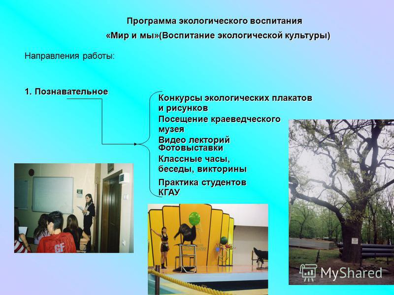 Конкурсы по экологическому воспитанию Конкурсы по экологическому воспитанию