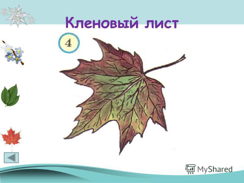 Поделки из разных материалов Поделки из мусора своими