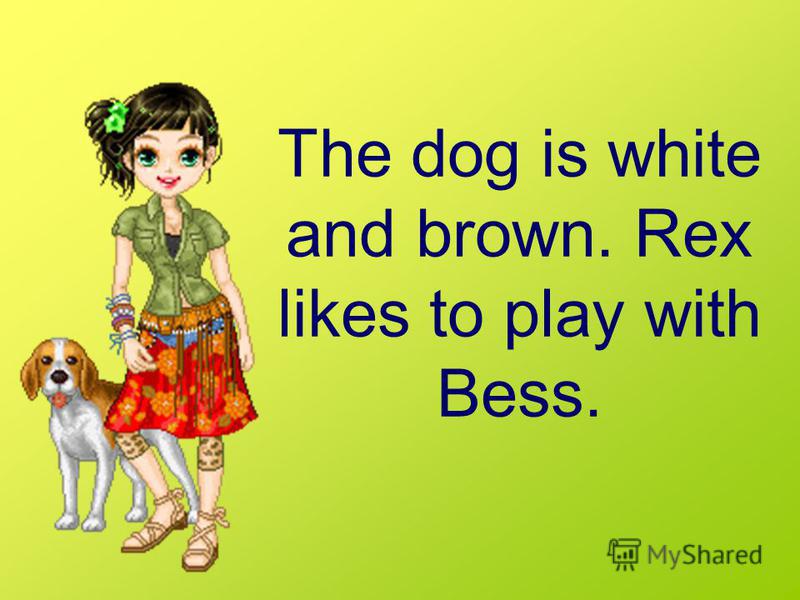 The dog is white and brown. Rex likes to play with Bess.
