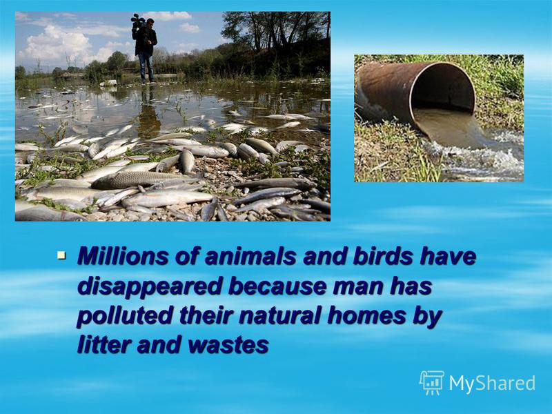 Millions of animals and birds have disappeared because man has polluted their natural homes by litter and wastes Millions of animals and birds have disappeared because man has polluted their natural homes by litter and wastes