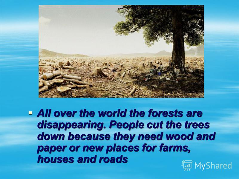 All over the world the forests are disappearing. People cut the trees down because they need wood and paper or new places for farms, houses and roads All over the world the forests are disappearing. People cut the trees down because they need wood an