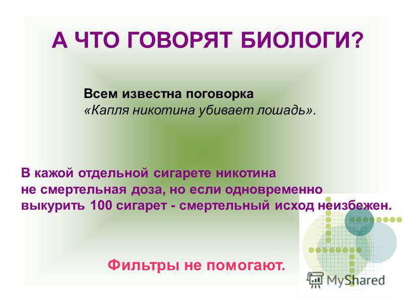 Архангельск семена Архангельск семена