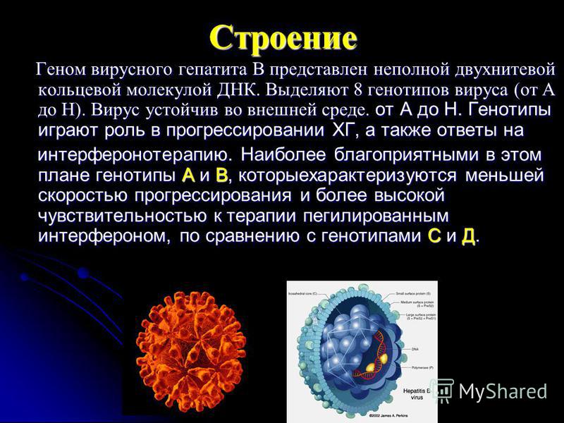 Повышенная температура при болезни печени