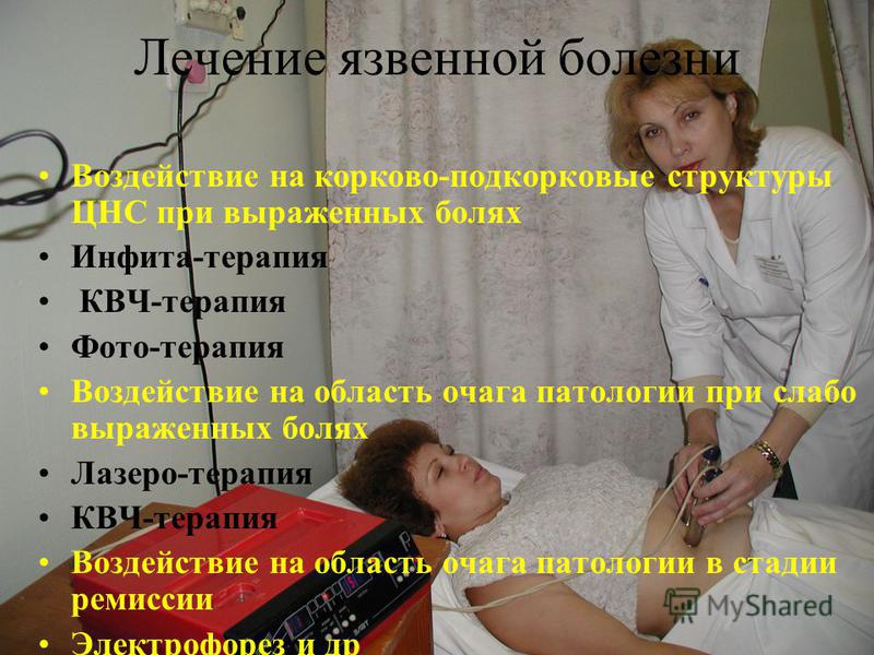 Адреса ветеринарных клиник в новосибирске