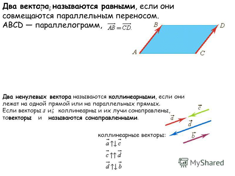 Векторы на прямой и их отношение Векторы на прямой и их отношение