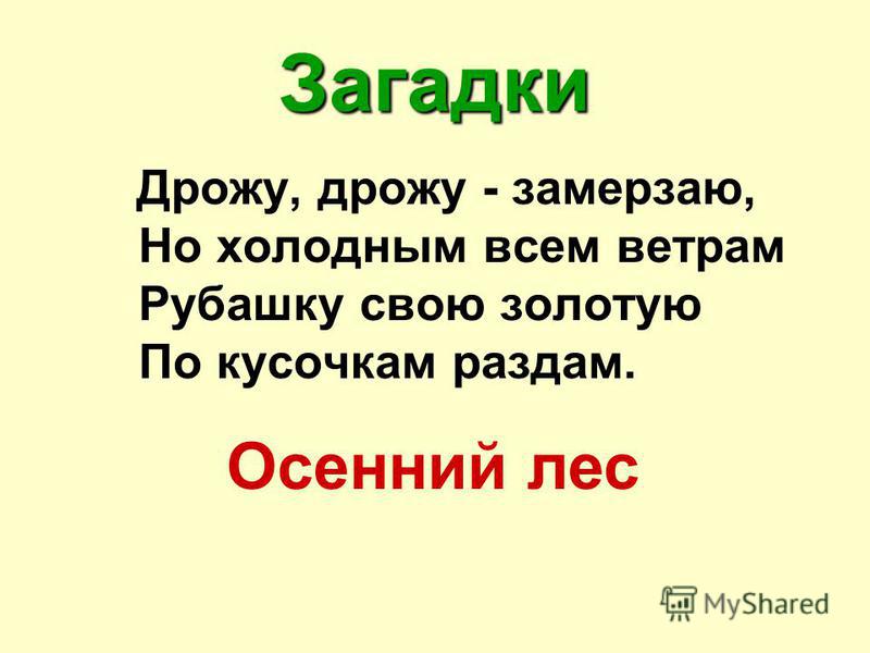 В осеннем лесу грешница осталась абсолютно голая