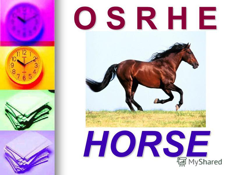 O S R H E HORSE