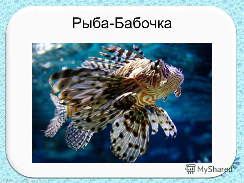 FokinaLida.75@mail.ru Рыба-Бабочка