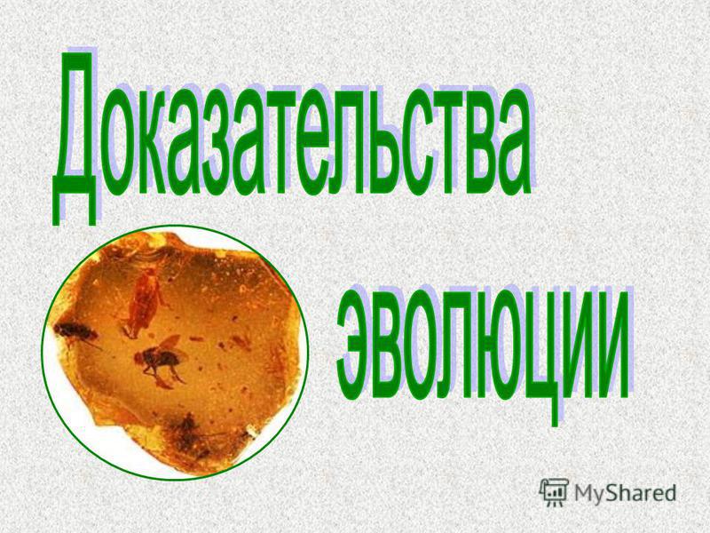 эволюционный метод похудения доктора доброва эволюционный метод похудения доктора доброва