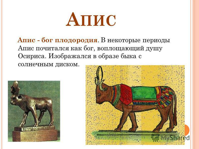 А ПИС Апис - бог плодородия. В некоторые периоды Апис почитался как бог, воплощающий душу Осириса. Изображался в образе быка с солнечным диском.