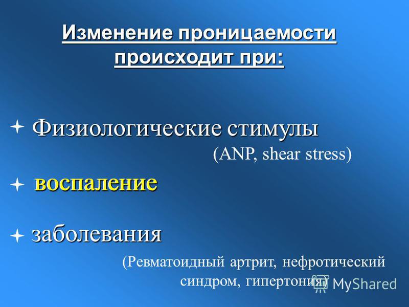 Физиологические стимулы (ANP, shear stress) заболевания (Ревматоидный артрит, нефротический синдром, гипертония) воспаление Изменение проницаемости происходит при: