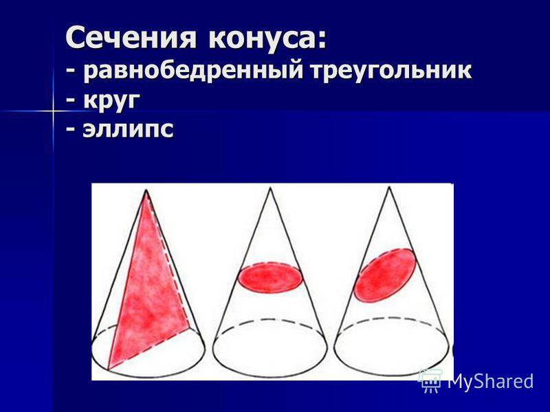 Сечения конуса: - равнобедренный треугольник - круг - эллипс