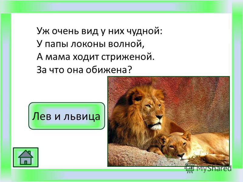 Орхидея фаленопсис: уход, цветение, пересадка и размножение Обрезка кустарников (фото и видео) Своими руками - Как