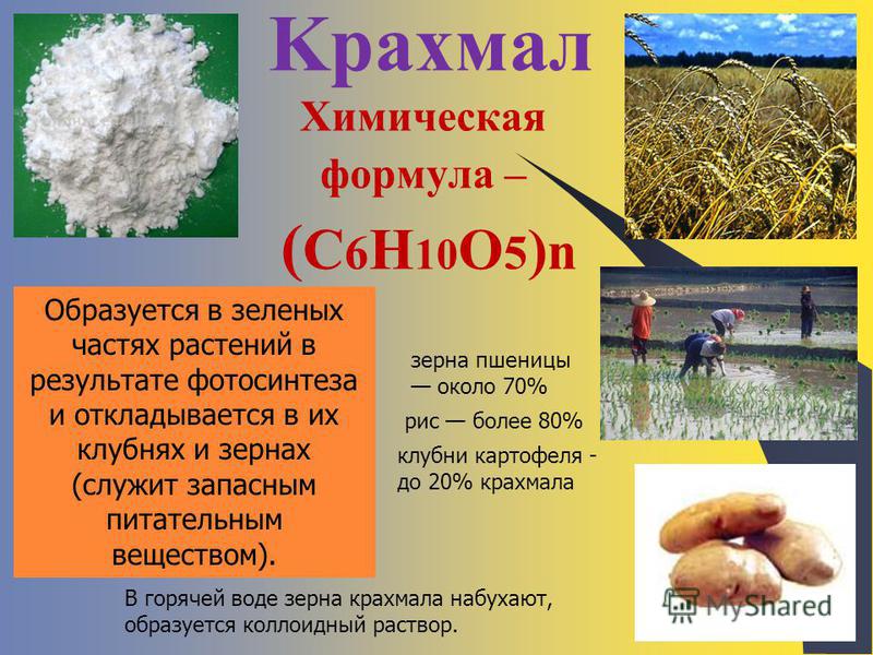 Урок "Крахмал" (начальная школа)