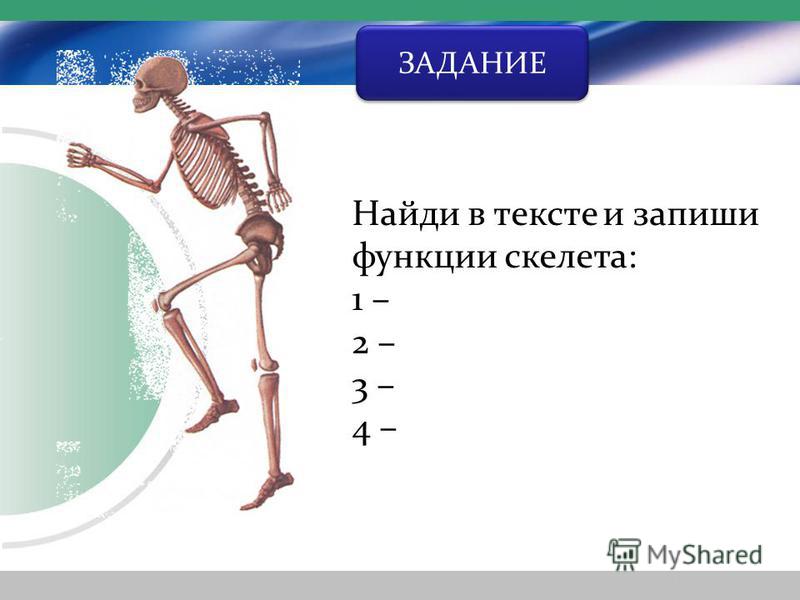 ЗАДАНИЕ Найди в тексте и запиши функции скелета: 1 – 2 – 3 – 4 –