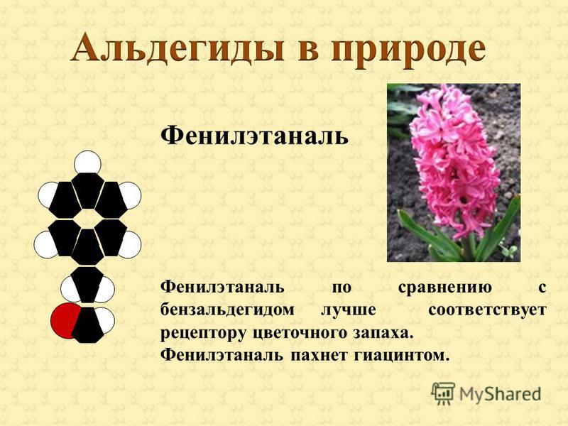 Фенилэтаналь Фенилэтаналь по сравнению с бензальдегидом лучше соответствует рецептору цветочного запаха. Фенилэтаналь пахнет гиацинтом.