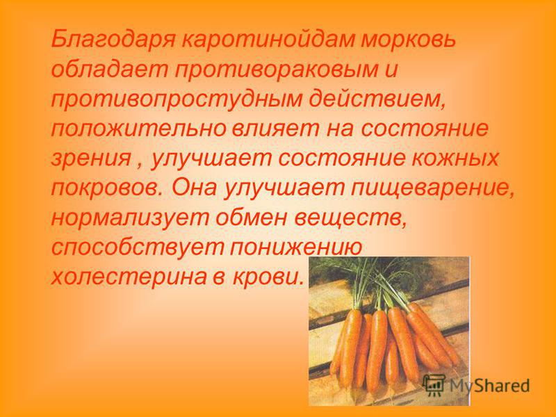Благодаря каротиноидам морковь обладает противораковым и противопростудным действием, положительно влияет на состояние зрения, улучшает состояние кожных покровов. Она улучшает пищеварение, нормализует обмен веществ, способствует понижению холестерина