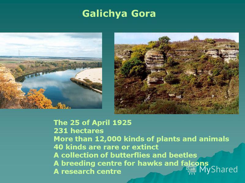 Galichya Gora The 25 of April 1925 231 hectares More than 12,000 kinds of plants and animals 40 kinds are rare or extinct A collection of butterflies and beetles A breeding centre for hawks and falcons A research centre