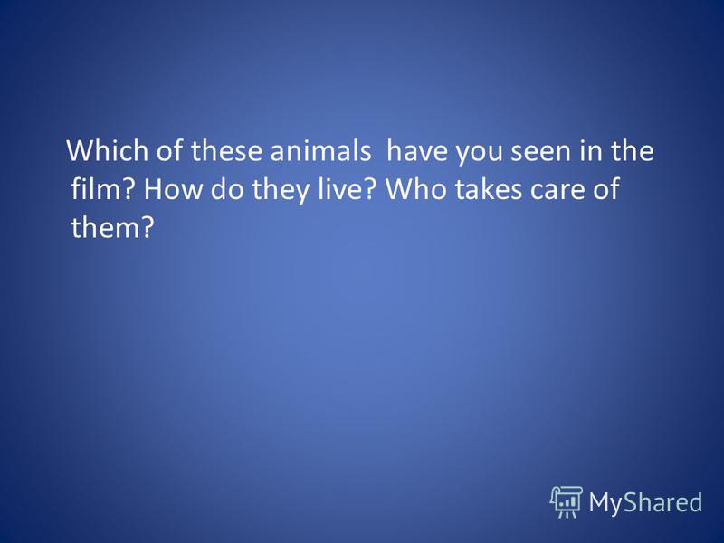 Which of these animals have you seen in the film? How do they live? Who takes care of them?