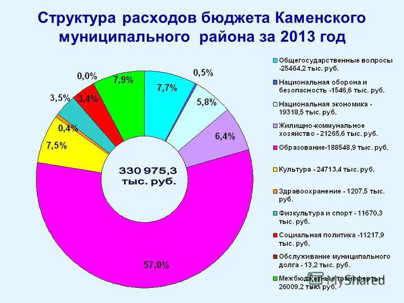 Структура расходов бюджета Каменского муниципального района за 2013 год