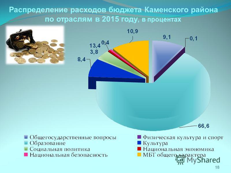 18 Распределение расходов бюджета Каменского района по отраслям в 2015 году, в процентах