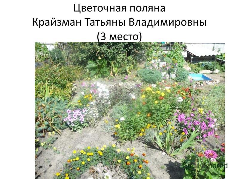 Цветочная поляна Крайзман Татьяны Владимировны (3 место)