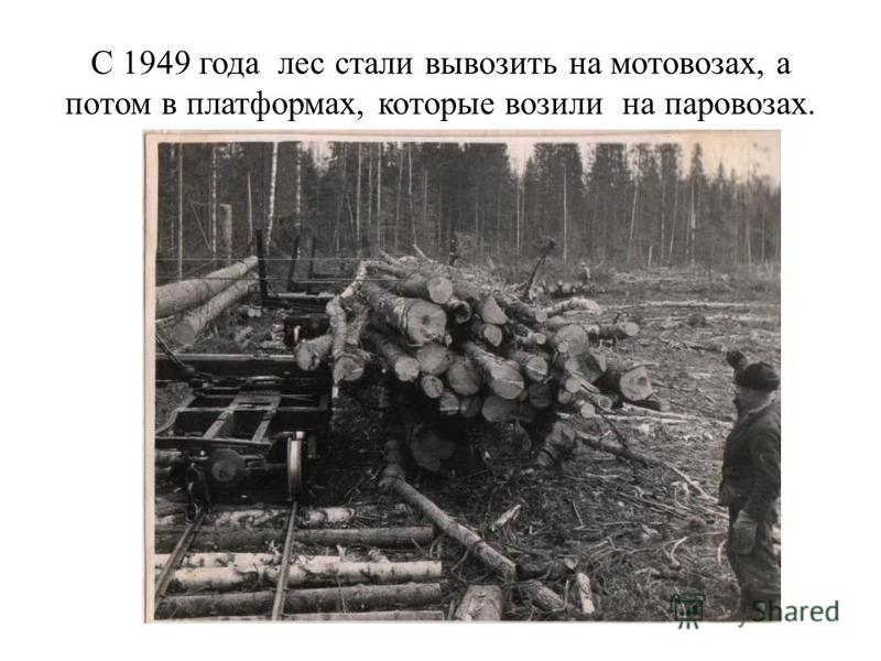 С 1949 года лес стали вывозить на мотовозах, а потом в платформах, которые возили на паровозах.