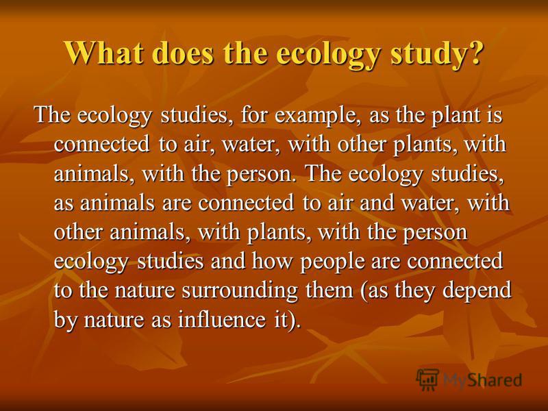 What does the ecology study? The ecology studies, for example, as the plant is connected to air, water, with other plants, with animals, with the person. The ecology studies, as animals are connected to air and water, with other animals, with plants,