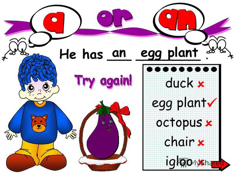 He has ___ ________. anegg plant igloo duck egg plant octopus chair