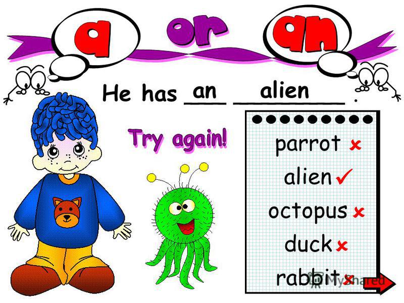 He has ___ ________. analien rabbit parrot alien octopus duck