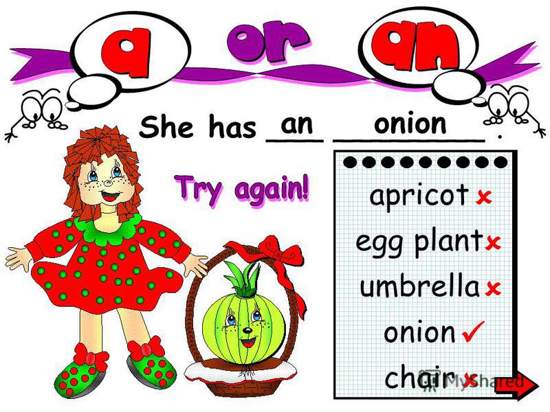 She has ___ ________. anonion chair apricot egg plant umbrella onion