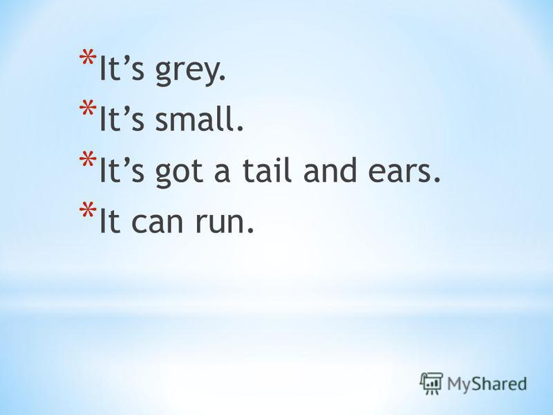 * Its grey. * Its small. * Its got a tail and ears. * It can run.