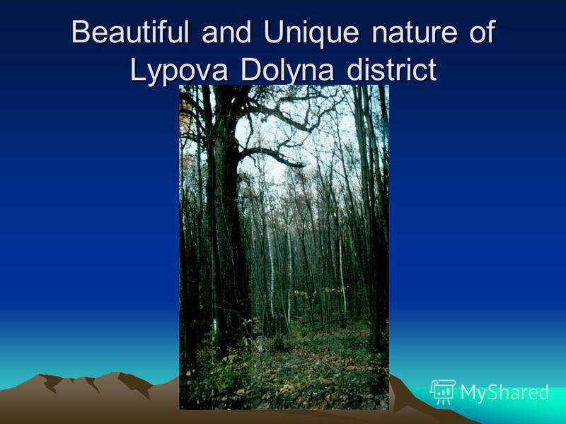 Beautiful and Unique nature of Lypova Dolyna district