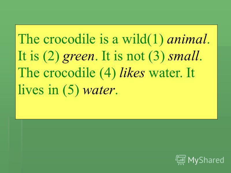 The crocodile is a wild(1) animal. It is (2) green. It is not (3) small. The crocodile (4) likes water. It lives in (5) water.