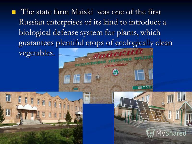 The state farm Maiski was one of the first Russian enterprises of its kind to introduce a biological defense system for plants, which guarantees plentiful crops of ecologically clean vegetables. The state farm Maiski was one of the first Russian ente