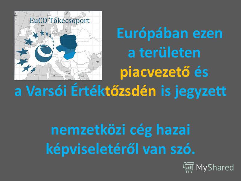 Európában ezen a területen piacvezető és a Varsói Értéktőzsdén is jegyzett nemzetközi cég hazai képviseletéről van szó.