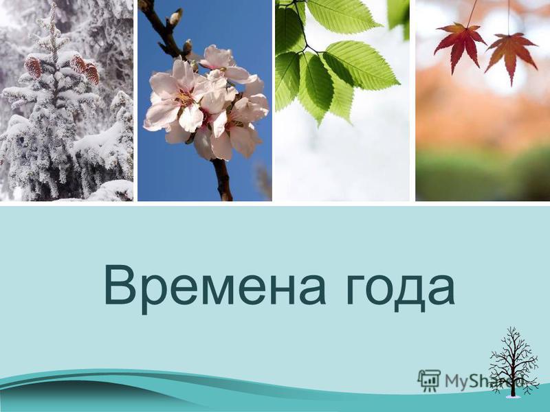 Составить родословное дерево семьи