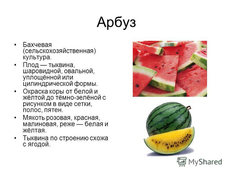 Сценарий арбузника с презентацией Сценарий арбузника с презентацией