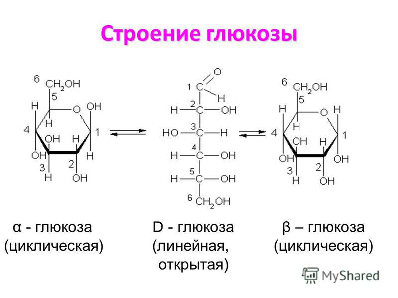 Инструкция По Дрочке Глюкоза