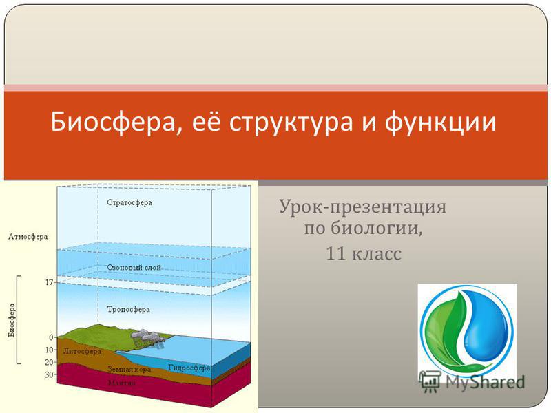 Лекция по теме Биология 11 класс