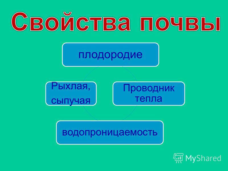 Знакомство С Почвой Вопросы Дошкольникам