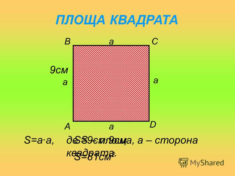 ПЛОЩА ПРЯМОКУТНИКА A B C D a b S= a· b, де S – площа; a,b - сторони прямокутника. 8см 3см S=8см·3смS =24см 2